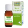 BO.BETULA PUB.MG I 60ml