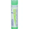 Boiron Argentum Metallicum 5CH Granuli Omeopatici da 4g