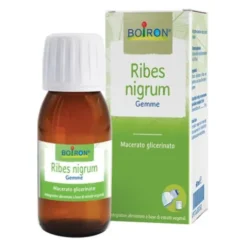 BO.RIBES NIGRUM 60ML INT
