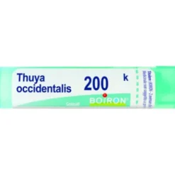 BO.THUYA OCC.Tubo 200K
