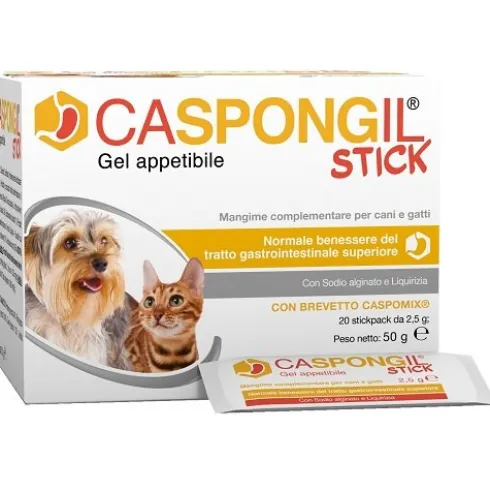 CASPONGIL STICK 20Stick Pack
