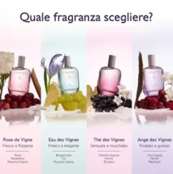 Caudalie Thé des Vignes Acqua Profumata - Profumo sensuale e muschiato - 50 ml