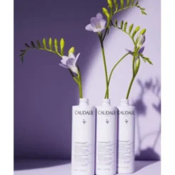 Caudalie Vinotherapist Trattamento Corpo Ialuronico - Crema corpo idratante per pelle secca - 400 ml