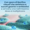 Enterogermina 6 Miliardi - Equilibrio della flora batterica intestinale - 9 bustine orosolubili