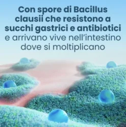 Enterogermina 6 Miliardi - Equilibrio della flora batterica intestinale - 9 bustine orosolubili