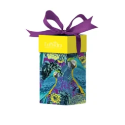 Euphidra Cofanetto di Natale Wow Look Make-Up occhi - Mascara volumizzante 12 ml + Matita occhi nera 1,5 g