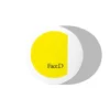 FaceD Instant Sun Terra Abbronzante in Polvere - Terra bicolore opacizzante - 9 g