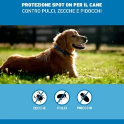 Frontline Spot On Cani da 2 a 10 kg - Pipette antiparassitarie per cani piccoli Contro Pulci, Zecche E Pidocchi - 3 pipette