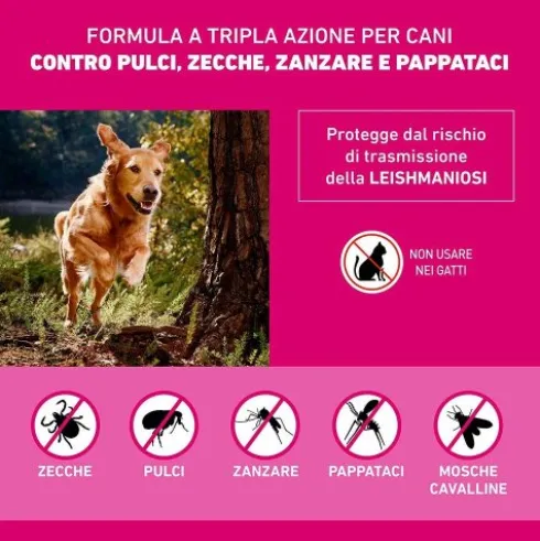 Frontline Tri-Act Cani da 10 a 20 kg - Pipette antiparassitarie Contro Parassiti Esterni E Insetti Volanti - 6 pipette monodose