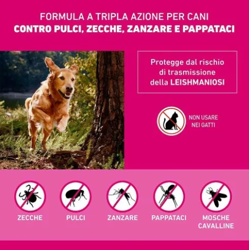 Frontline Tri-Act Cani da 2 a 5 kg - Pipette antiparassitarie Contro Parassiti Esterni E Insetti Volanti - 1 pipetta monodose