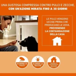 FRONTPRO Cani da 4 a 10 kg - Compresse masticabili antiparassitarie contro pulci e zecche - 3 compresse