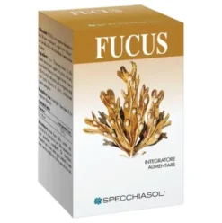 FUCUS 150 Tav.SPECCH.