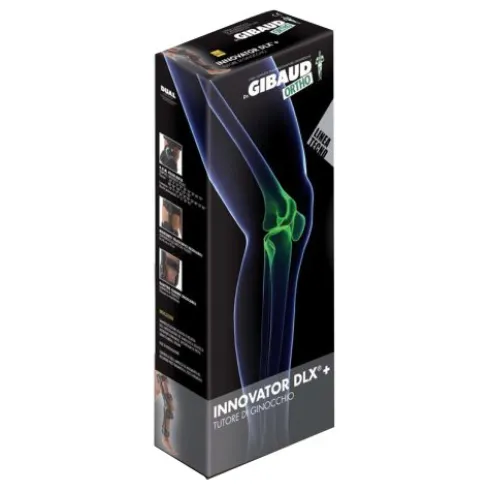 GIBAUD-ORT.Tut.Gin.Innov.DLX