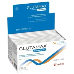 GLUTAMAX Advanced 120 Cpr