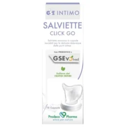 GSE INTIMO SALVIETTE CLICK GO