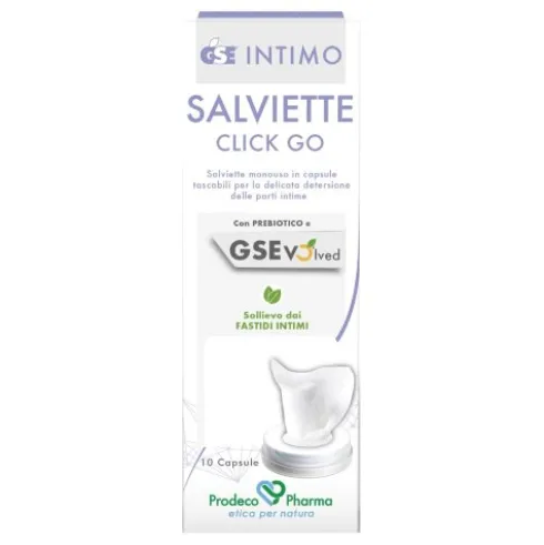 GSE INTIMO SALVIETTE CLICK GO