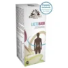 LACTOBAOB 42 Capsule 21g