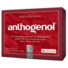 MASQUELIERS ANTHOGENOL 90 Capsule