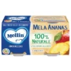 Mellin Omogenizzato Mela e Ananas Alimento Infanzia 2x100g