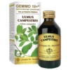 OLMO CAMP 100ml Analc.Gemme10+