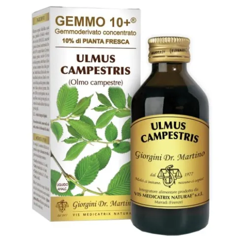 OLMO CAMP 100ml Analc.Gemme10+