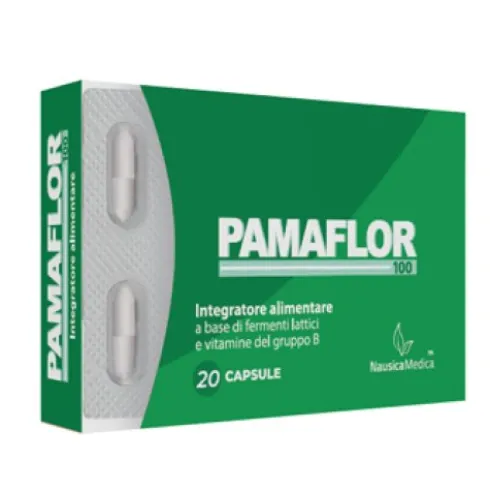 PAMAFLOR*100 20 Capsule