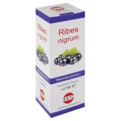 RIBES NIGRUM MG 100ml KOS