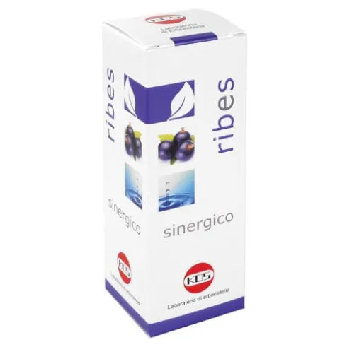 RIBES SINERGICO 100ml KOS