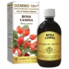 ROSA CANINA Anal.Gemmo10+500ml
