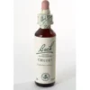 Schwabe Pharma Italia Fiori di Bach Originali Chicory Rimedio Naturale 20ml