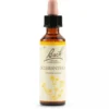 Schwabe Pharma Sclerantus Bach Originale Rimedio per Decisioni 20ml