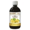 TIGLIO ARG.Analc.Gemmo10+500ml