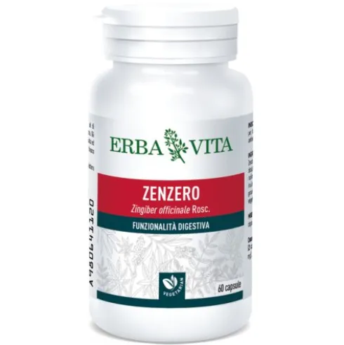 ZENZERO 60 Capsule 500mg EBV